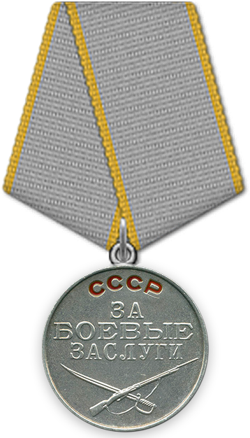http://podvignaroda.ru/img/awards/new/Medal_Za_Boevye_zaslugi.png